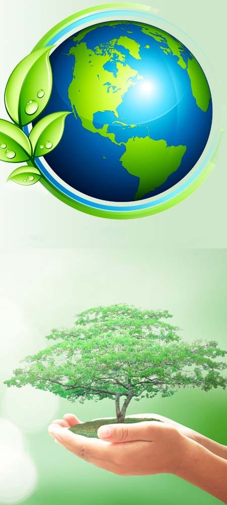 iso 14001 belgesi